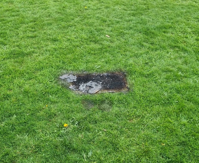 Lydney Council warns of barbecue dangers after Bathurst Park damage