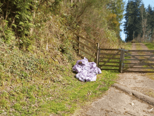 Fly-tipping after Forest of Dean party?