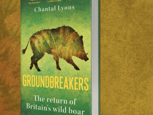 Wild boar talk with Chantal Lyons