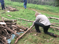 Clearwell Cubs need volunteers urgently