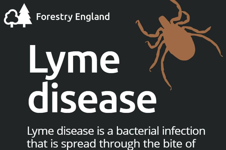 Fod Lyme Disease