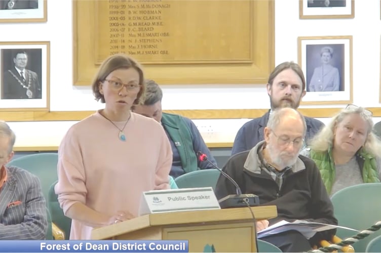 Abigail Smith speaking to councillors on the development control committee.