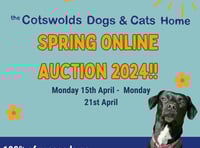 Forest of Dean lots on offer with CDCH spring auction