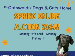 Forest of Dean lots on offer with CDCH spring auction