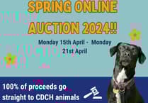 Forest of Dean lots on offer with CDCH spring auction
