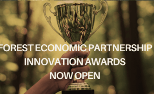 New Innovation Awards launched in Forest of Dean