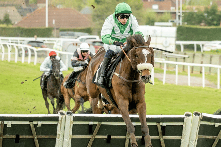 My Friend Sean racing to victory at Plumpton under jockey Cameron Iles