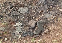 Concerns grow over Bathurst Park fires