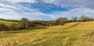 Forestry England reveals Edge End woodland plans