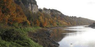 Support wildlife with composting in Gloucestershire