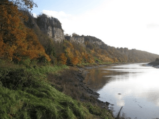 Support wildlife with composting in Gloucestershire