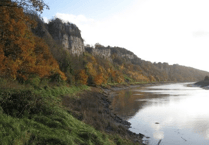 Boost biodiversity at home: compost in Gloucestershire