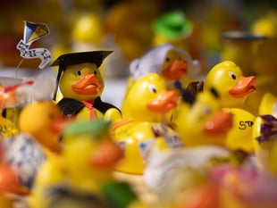 The annual Chepstow duck race returns!