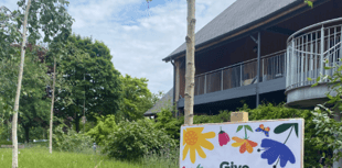 Forest of Dean Council backs wildlife with No Mow May