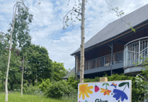 Join Forest of Dean's No Mow May for wildlife