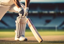 Forest View with Dave Kent