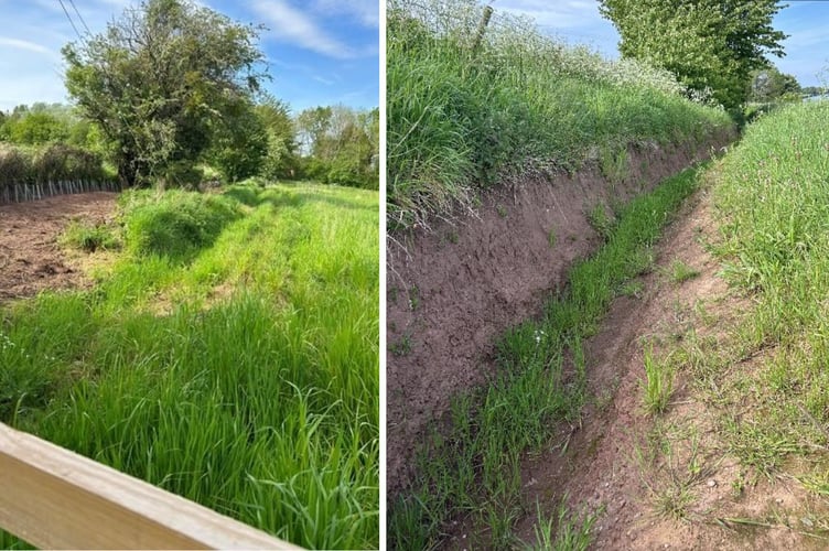 ditches