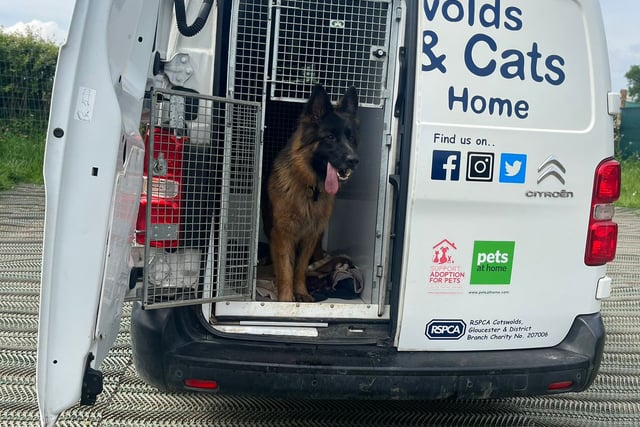 Animal rescue van breakdown prompts urgent appeal