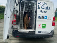 Animal rescue van breakdown prompts urgent appeal