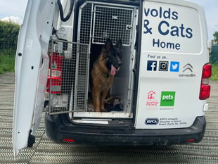 Animal rescue van breakdown prompts urgent appeal