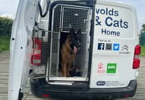 Animal rescue van breakdown prompts urgent appeal