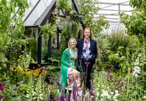 Local designers win gold at Chelsea Flower Show