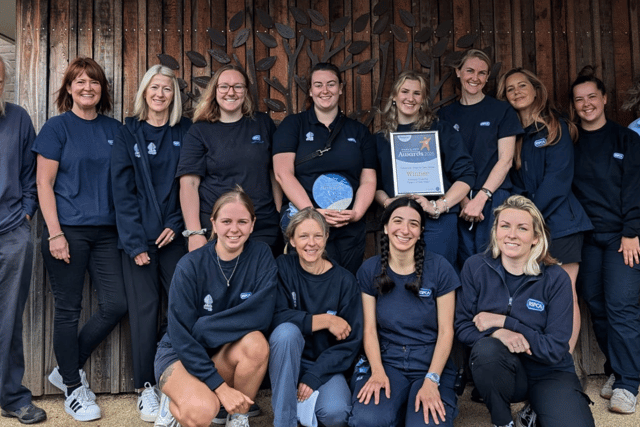 Gloucestershire's CDCH wins Animal Charity Team of Year
