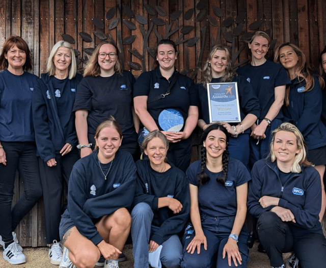 Gloucestershire's CDCH wins Animal Charity Team of Year