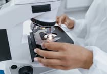 DNA Vulnerability: A Cybersecurity Concern