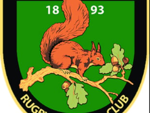 Drybrook RFC needs volunteers for clubhouse work