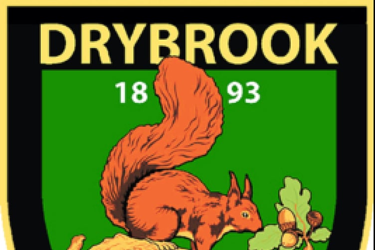The badge of Drybrook RFC.