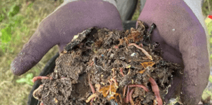 Gloucestershire Week highlights soil's climate role