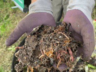 Gloucestershire Week highlights soil's climate role