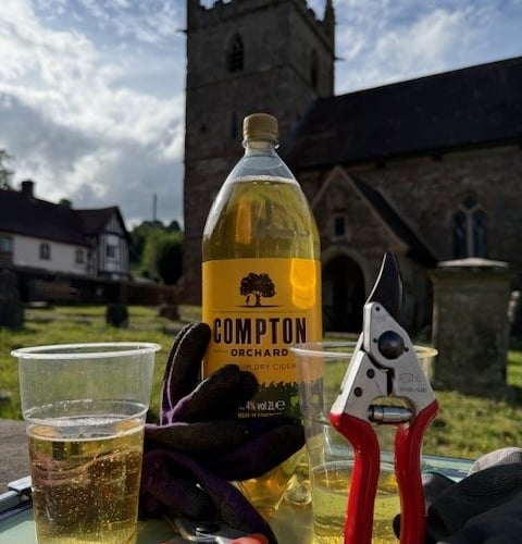 Cider and sunshine