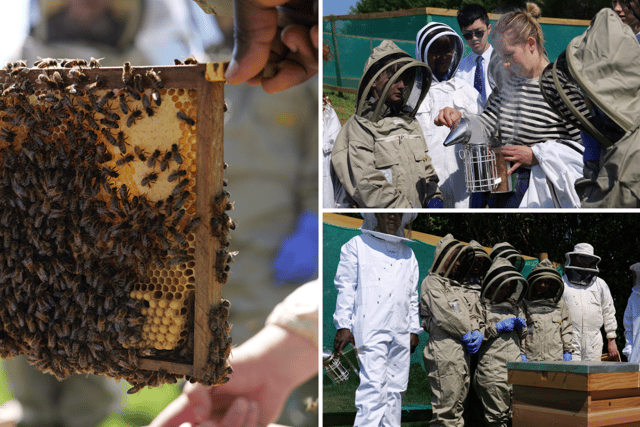 Monmouth School students learn beekeeping