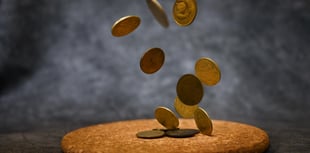 Forest View with Dave Kent