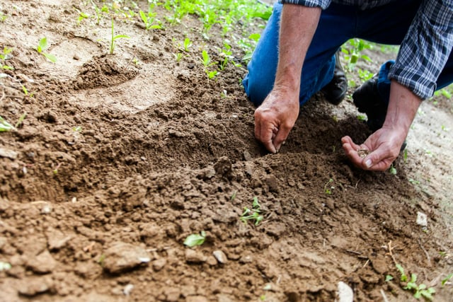 NHS brings health checks to Gloucestershire farmers