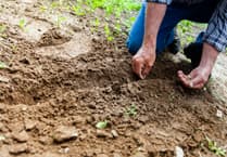 NHS mobile health checks for farmers in Gloucestershire