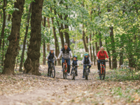 Forest of Dean seeks travel feedback