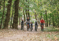 Share your views on Forest travel