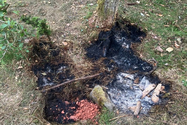 Forestry England warns Forest of Dean on wildfires