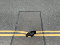 Dangerous hole on Monnow Street