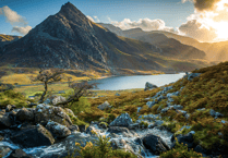 Discover Three Choirs Festival's 2025 Highlights