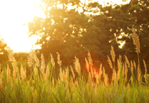 UK set for record May heatwave