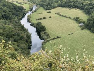 Feel good forest trail opens at Beechenhurst