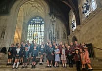 Children meet MP in Parliament visit