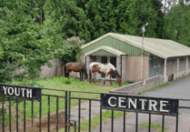 Horses Loose on A48: Police Response