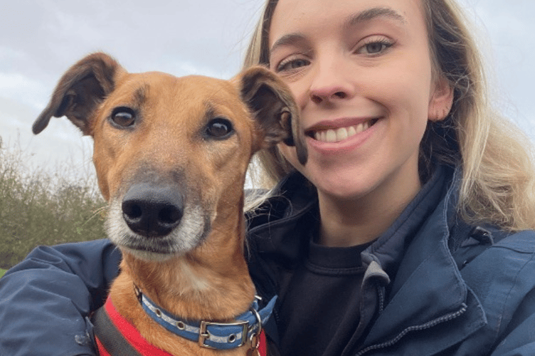 Cotswolds Dogs and Cats Home