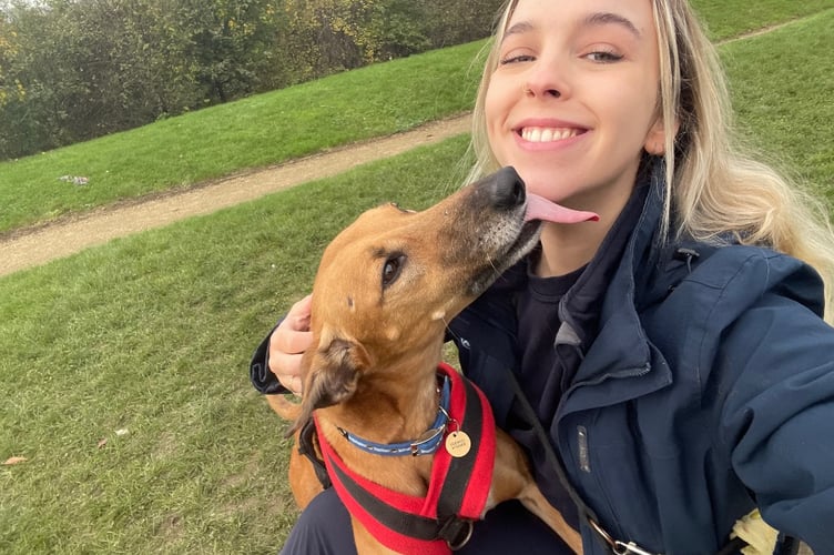 Cotswolds Dogs and Cats Home