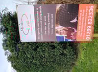 Mentor Link seeks Lydney volunteer